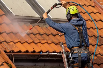 Démoussage et hydrofuge de toiture à Aventignan